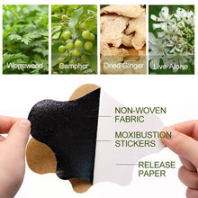 Carregar imagem no visualizador da galeria, Adesivo para alivio das dores de ervas com extrato de absinto- Dores e artrite do joelho - Diolete
